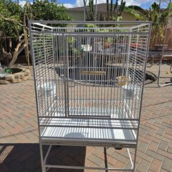 Bird Parrot Cage