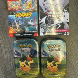 Pokemon Random Extras 