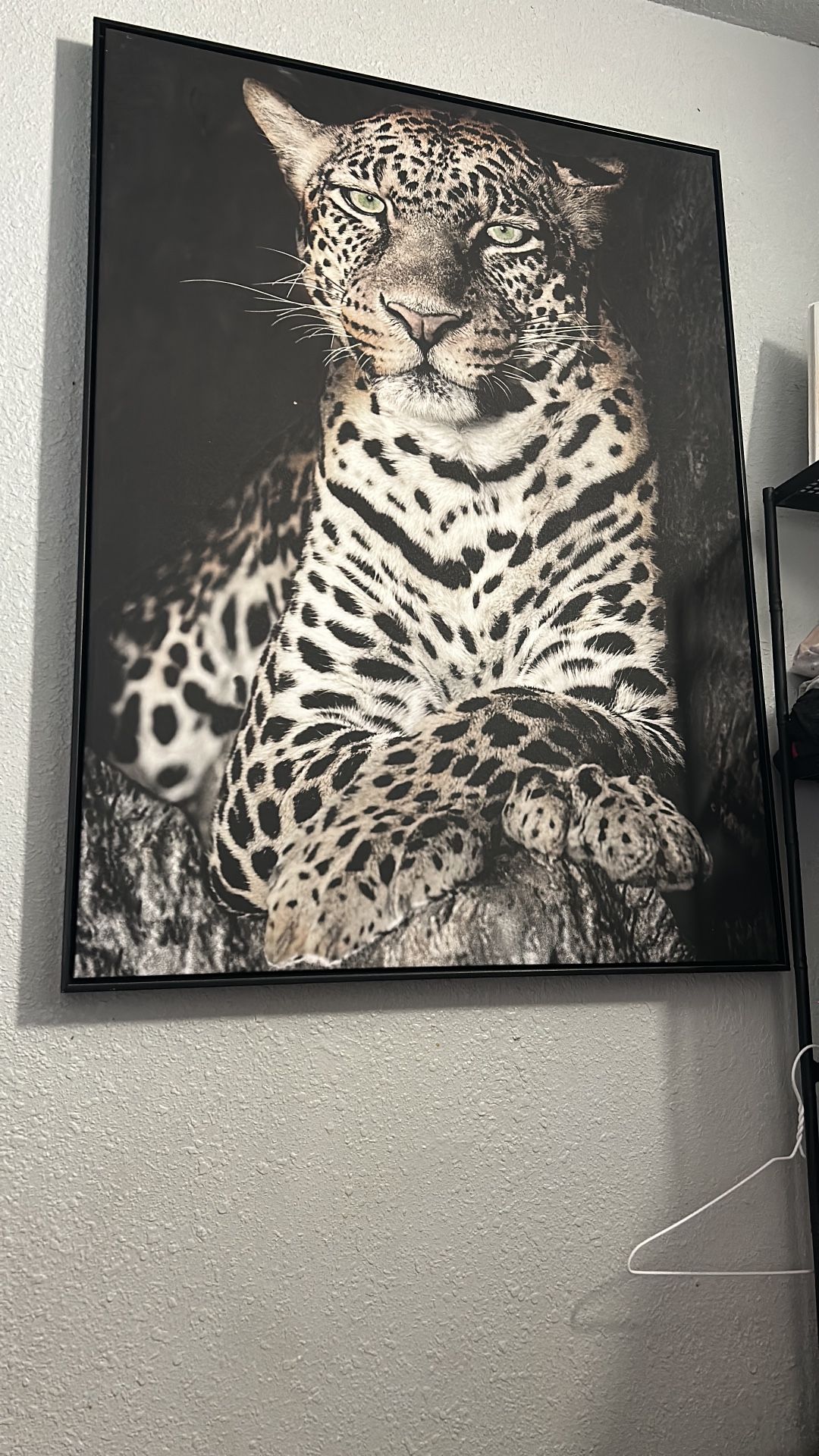 Wall Decorations 