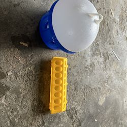 Pigeon feeder/waterer