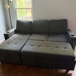 Sleeper Couch -FREE!!!