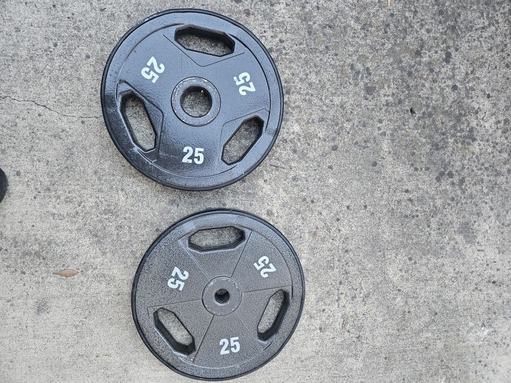 Two 25 Pounds 1" Weights 50 Pounds Total