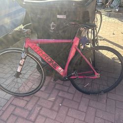 Size 52 Pink Throne Fixie Bike 