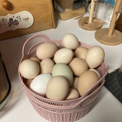 Fresh Farm Eggs!! $3 A Dozen!!!!