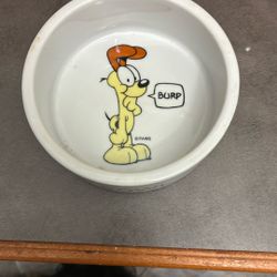 Dog Bowl 