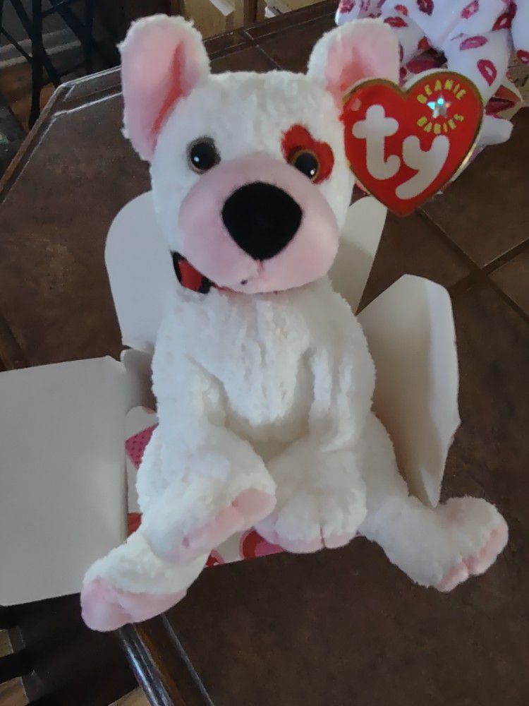 Cupid Beanie Baby uncirculated. 