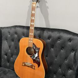 Cortley  Acoustic Guitar Floral Dove Design Lknew