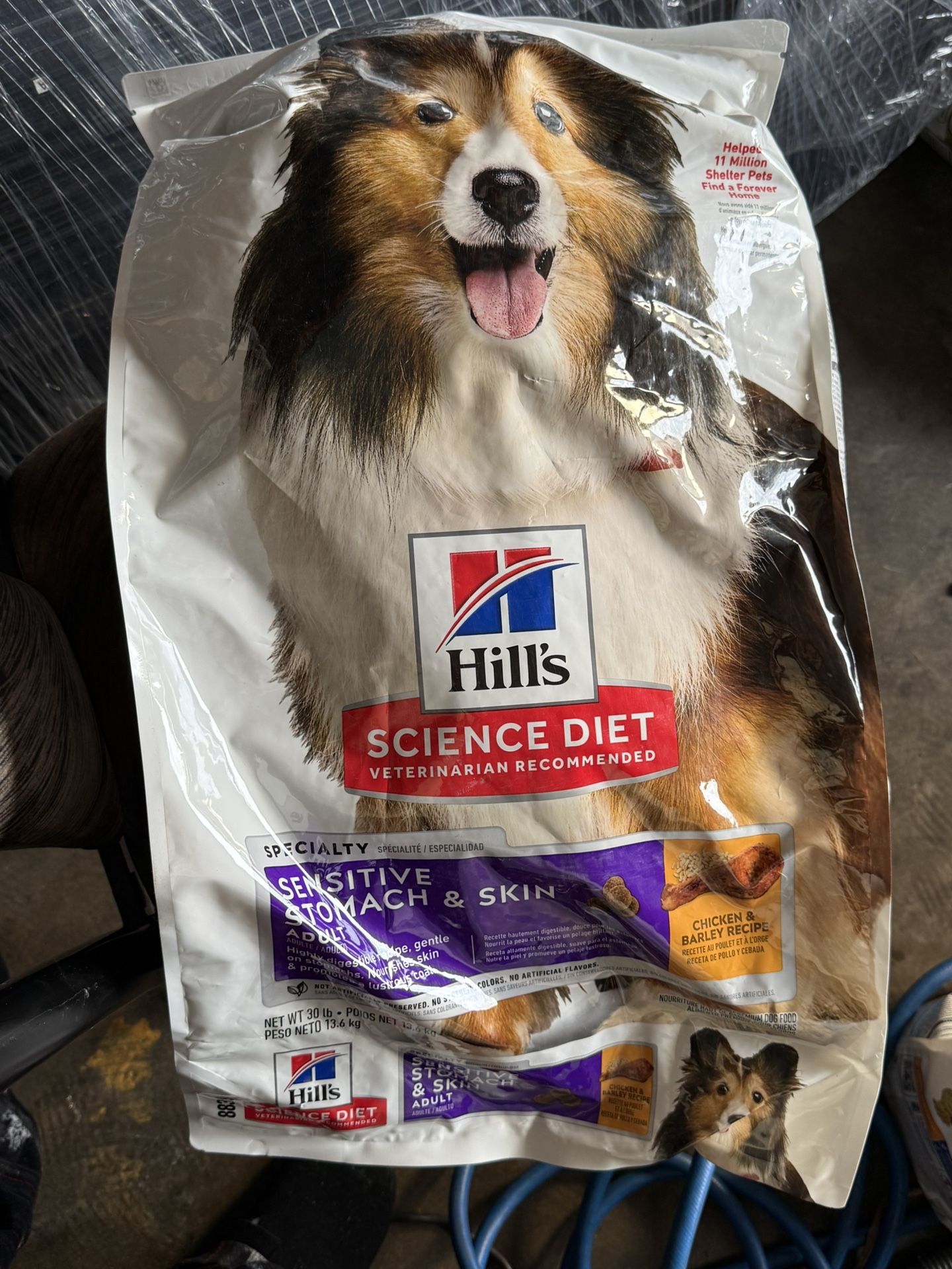 Hills Dog Food 