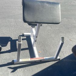 Seated Preacher Curl With Weight Rack