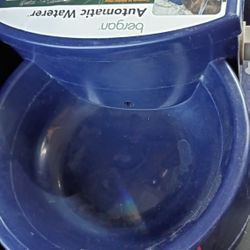 Dog Water Bowl
