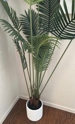 Plant and vase