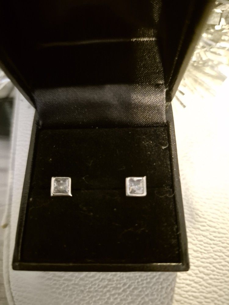 Elegant Silver Stud Earrings