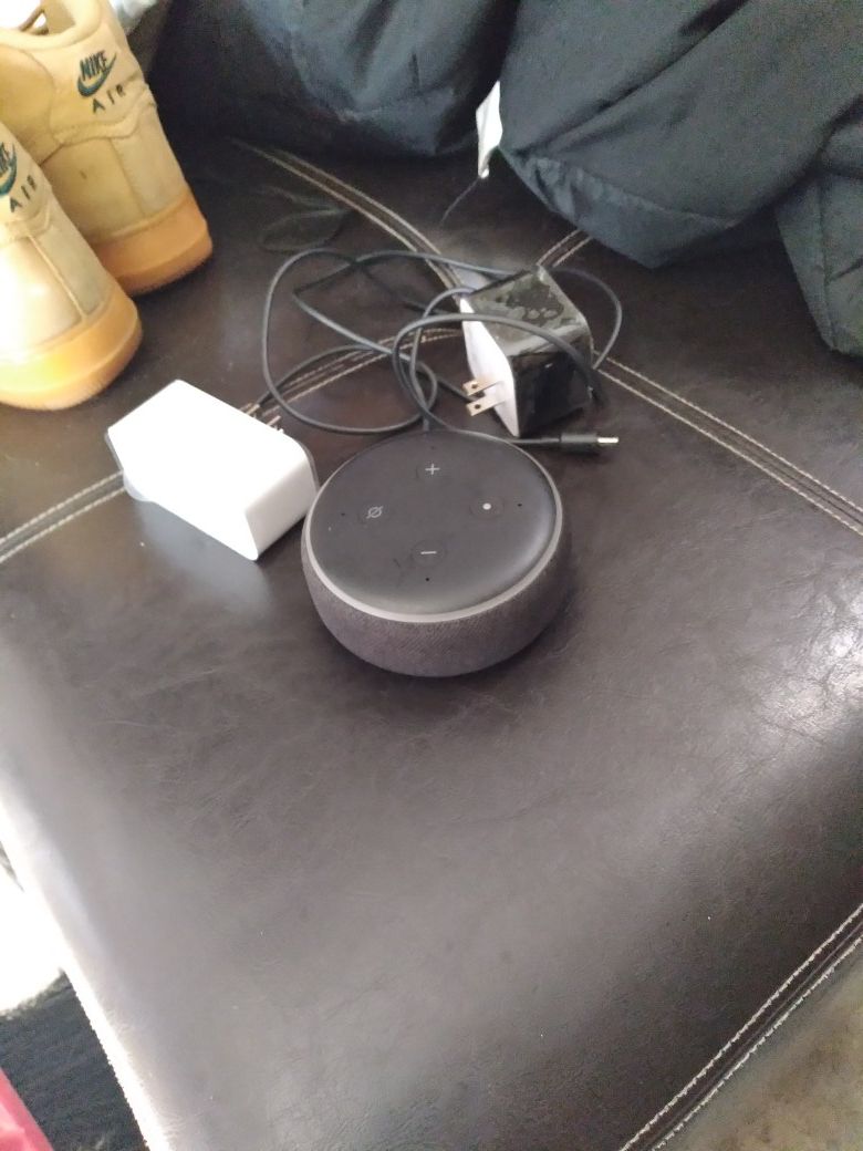 Alexa echo