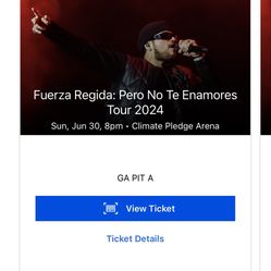 Fuerza Regida Ticket 