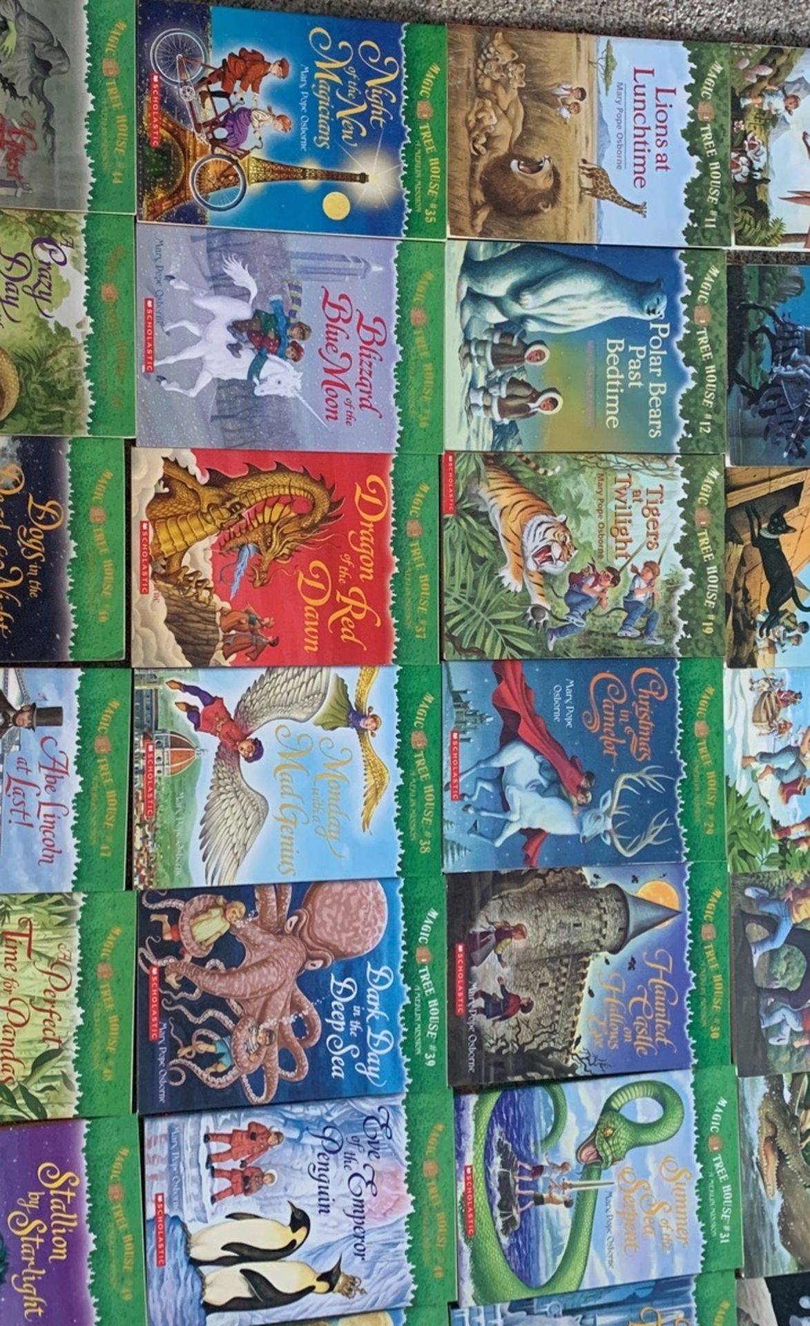 Magic Tree House Books