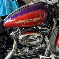 Harley Davidson 1200 Custom Classic Sportster