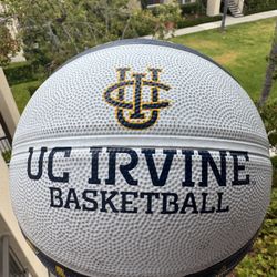 UC Irvine Official Logo Basketball