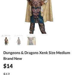 Dungeons & Dragons Size Medium Kids Xenk Costume Brand New