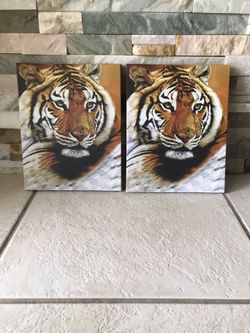 tiger painting ( set )