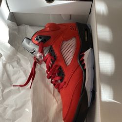 Jordan Raging Bull 5s Sz (10)