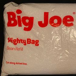 Bean Bag Fill for Sale in Deland, FL - OfferUp
