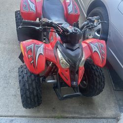 Polaris Preditor 50 Cc