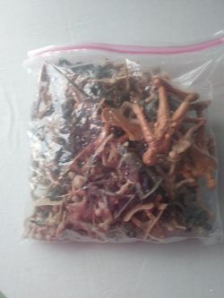 Bag full of Army men