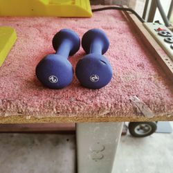 2 Two Pound Weights 