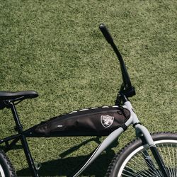 Raiders Cruiser Bicycle by State