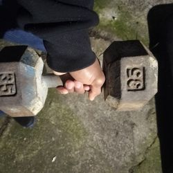 35 Pound Dumbbell 