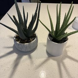 2 artificial plants
