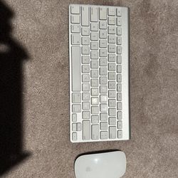 Apple keyboard & mouse
