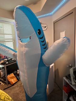 2 Shark Costumes
