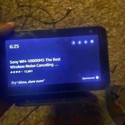 Alexa Bluetooth Echo Speaker