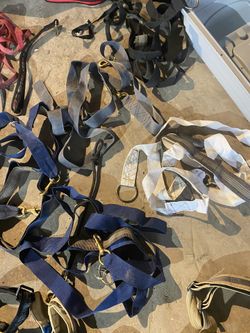 K9 Training Harnesses and Leashes (various)
