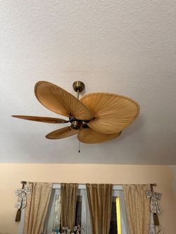 Ceiling fan