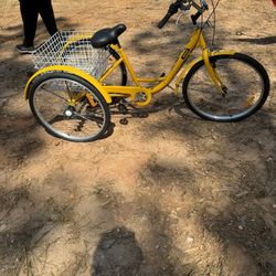 Adult 7 Speed Tricycles 