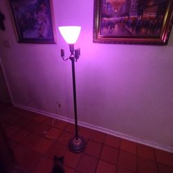 I Have An Antique Lamp