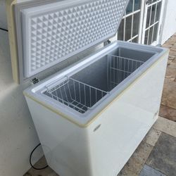 Electric Cooler 