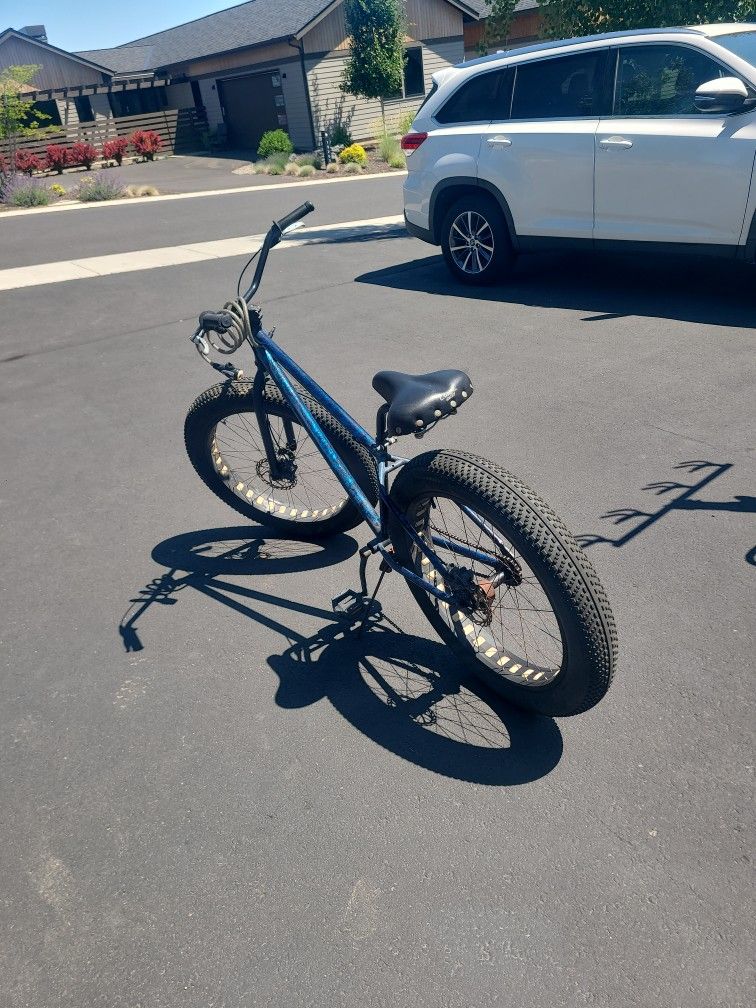 Fat Tire Bike