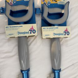 Disneyland 70th anniversary Key New 