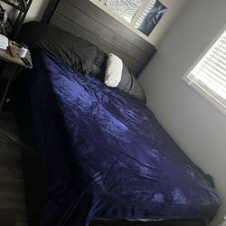 Queen Bed Frame And Low Profile Box Frame