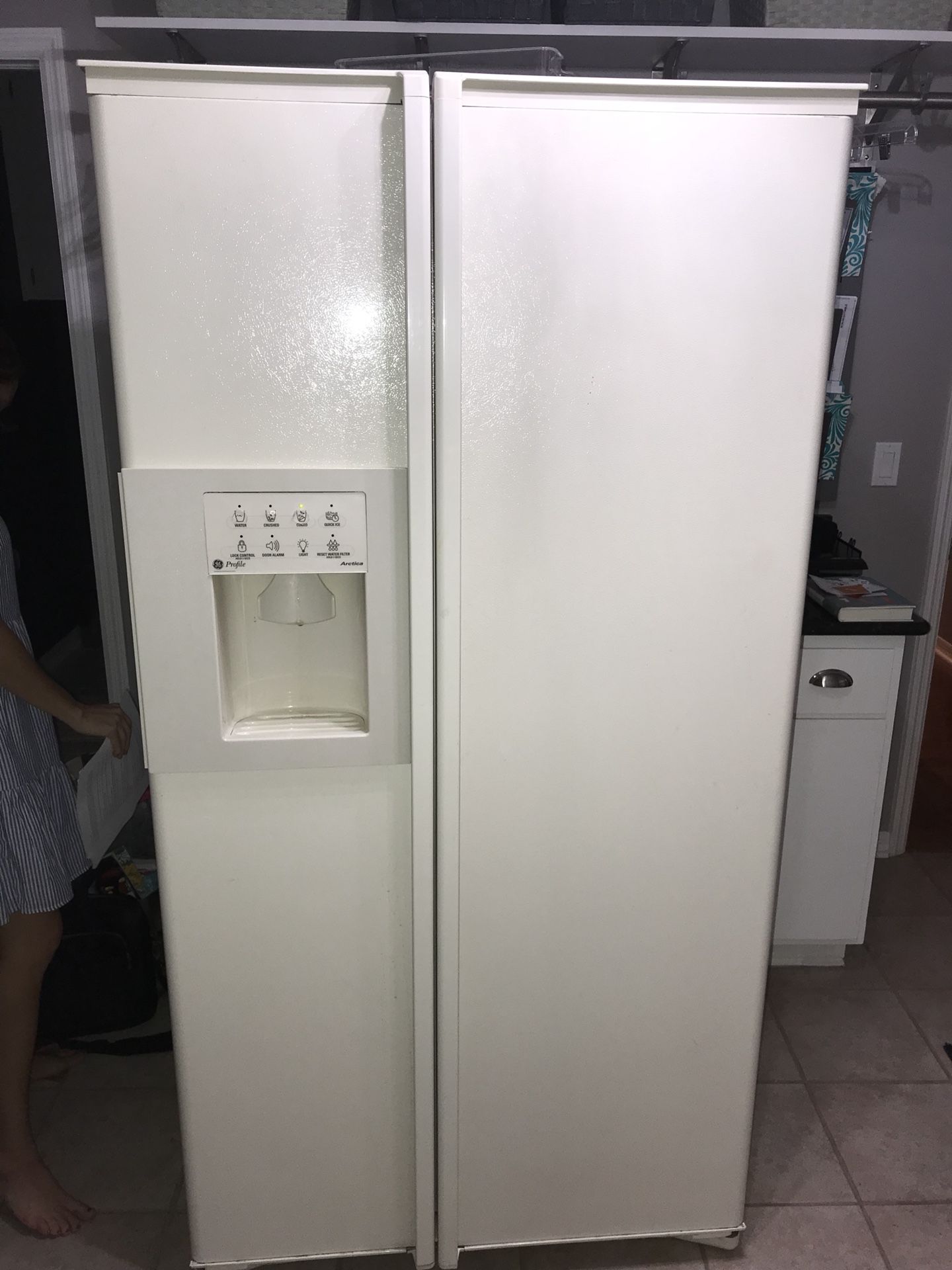 GE Profile Arctica Refrigerator - Great Condition!