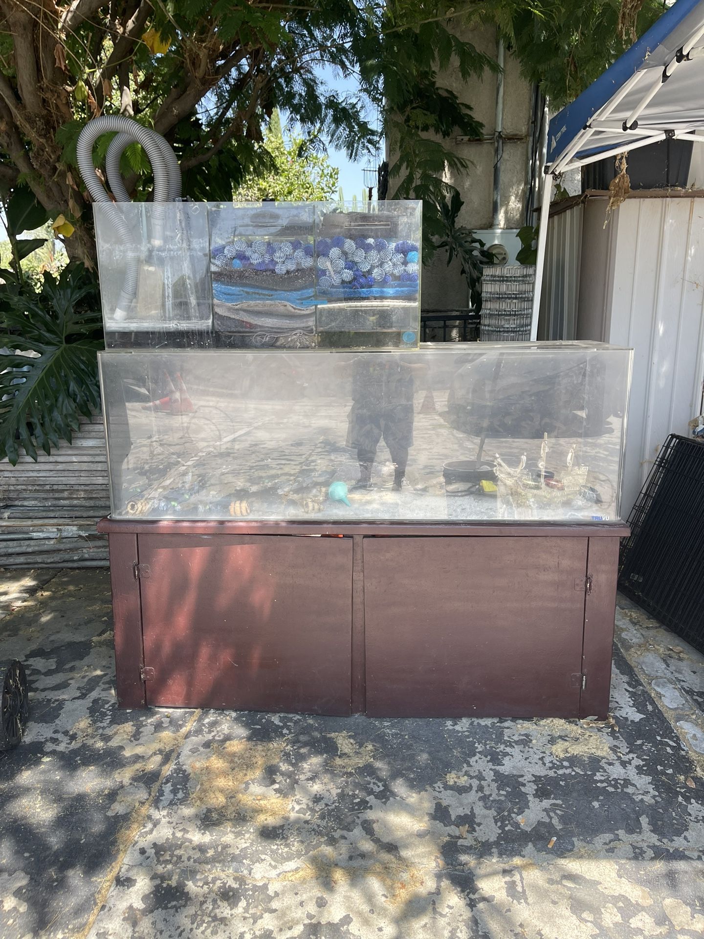 100 Gallon Acrylic Fish Tank Aquarium