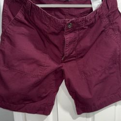 Men Burgundy Shorts