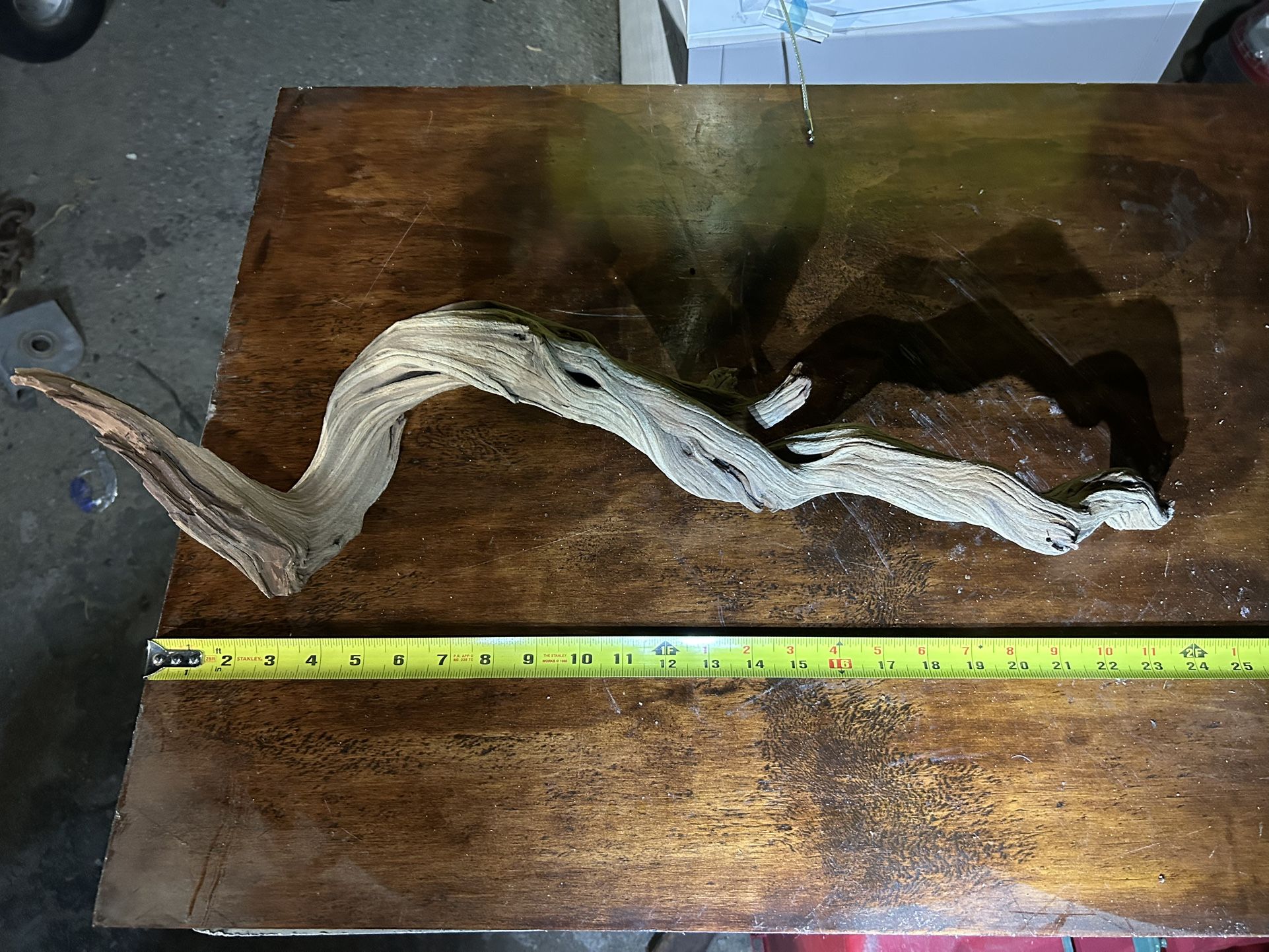 Fresh Sanded Mananita Reptile Tank With Wood