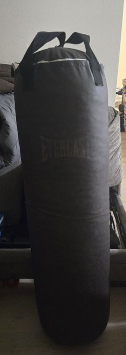 100 Lb Everlast Bag