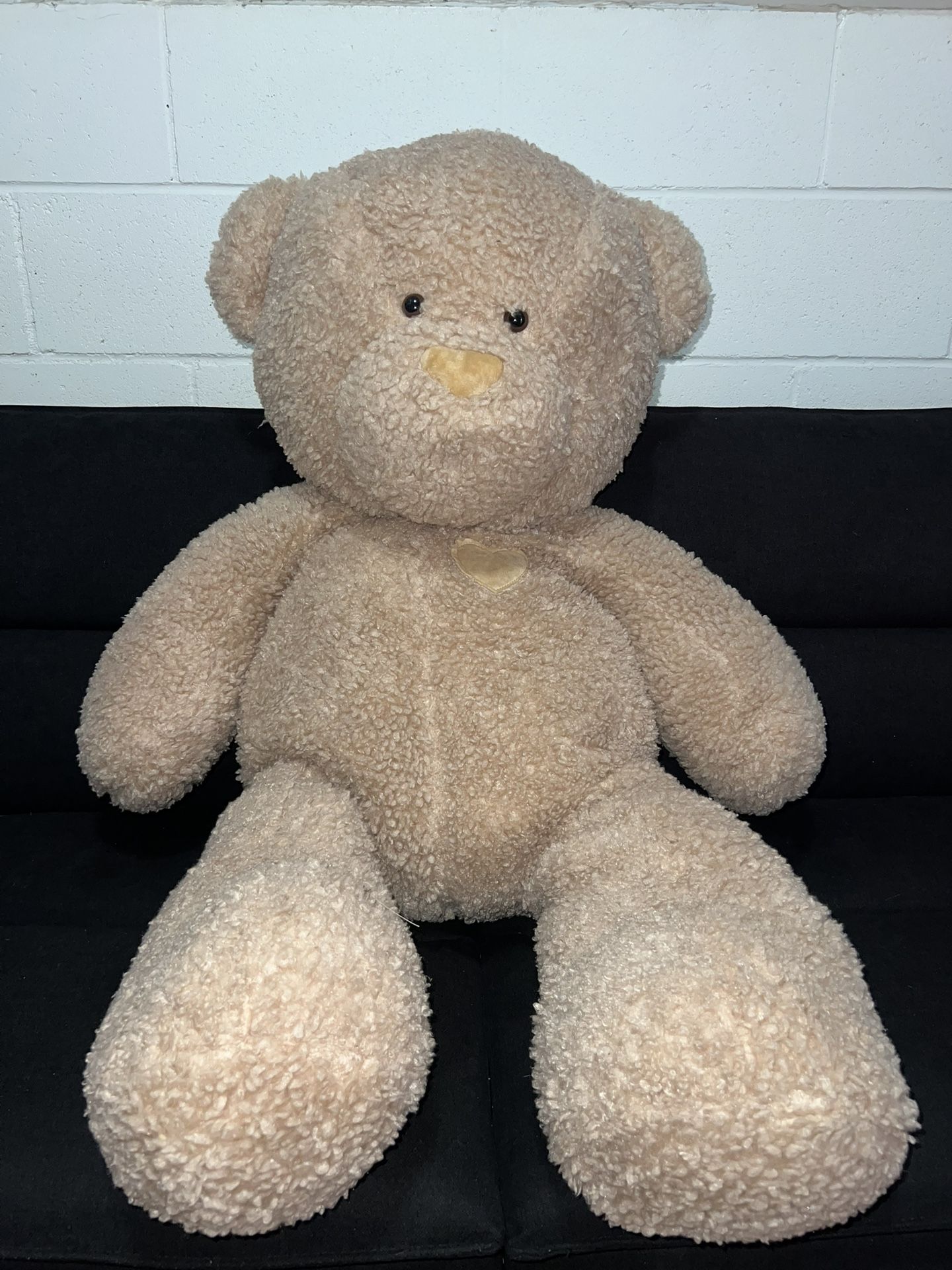 Teddy Bear