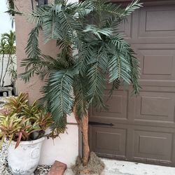 Beautiful artificial home decor palm tree