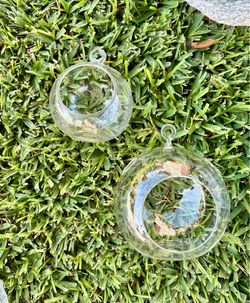 Hanging Glass Globes